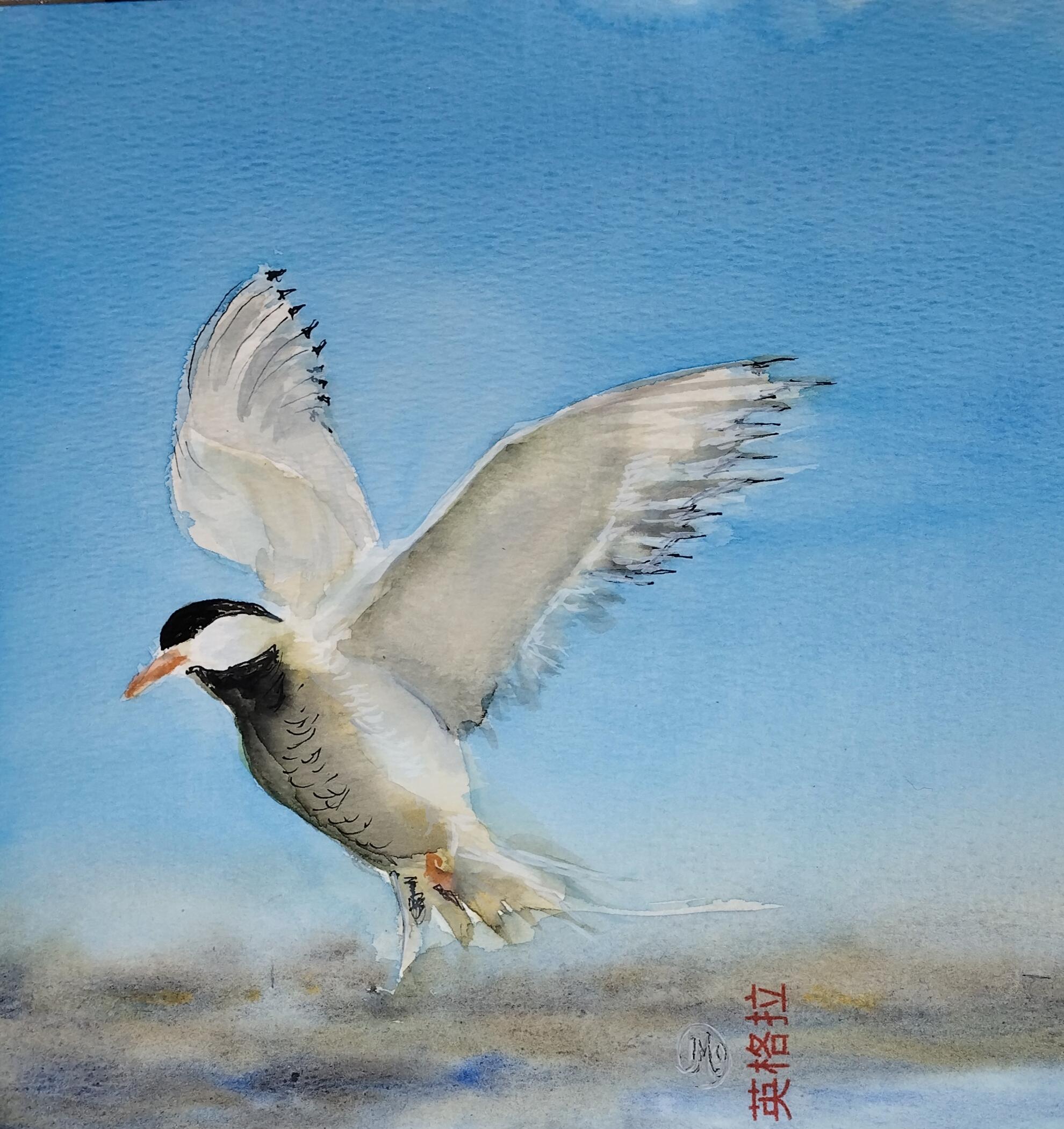 Ingela Mellgren Ohlsoon